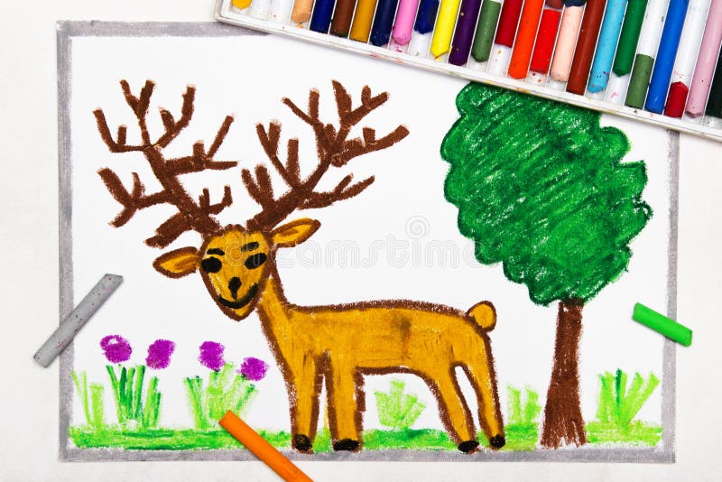 Dessin : cerfs communs bruns mignons avec de grands klaxons de cerfs communs illustration de vecteur Dessin : cerfs communs bruns mignons avec de grands klaxons de cerfs communs illustration de vecteur