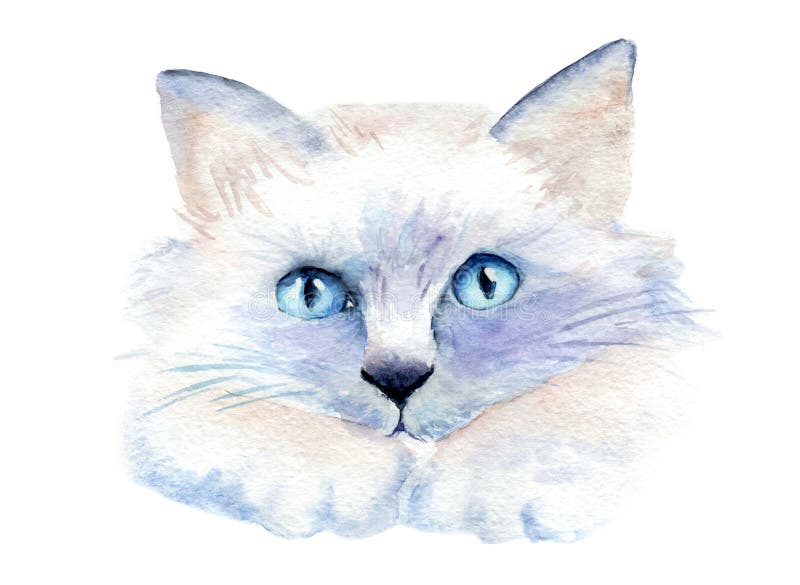 Dessin D Aquarelle D Un Chat Avec Les Yeux Lumineux Illustration Stock Illustration Du Illustration Main Dessin D Aquarelle D Un Chat Avec Les Yeux Lumineux Illustration Stock Illustration Du Illustration Main