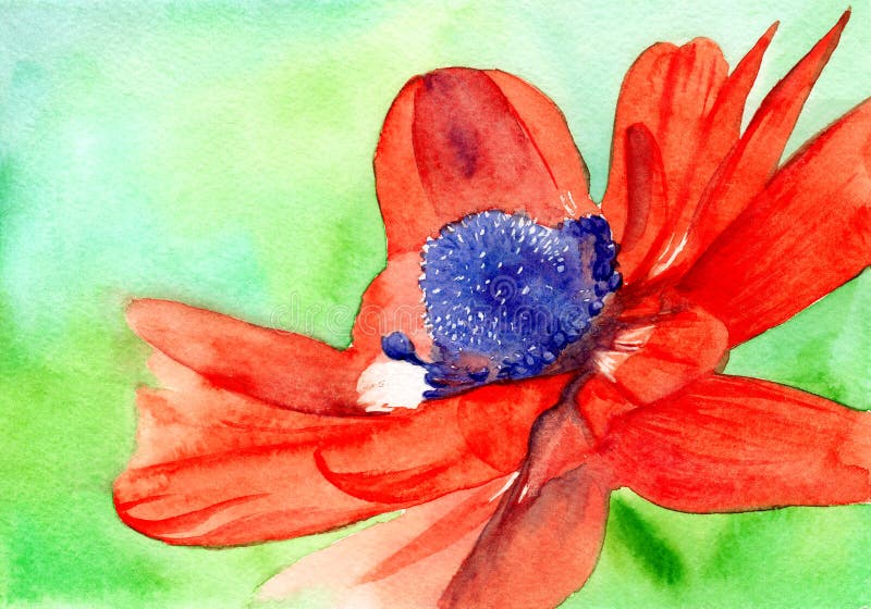 Dessin Daquarelle Dune Fleur Rouge Photo Stock éditorial