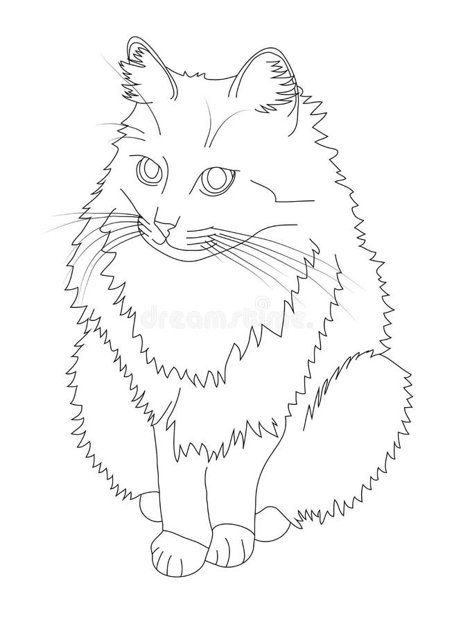 Dessin De Chat Illustration Stock Illustration Du Retrait