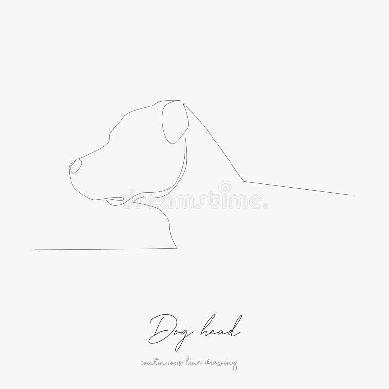 Poster La tête de la race de chien boxer chien collier ca vecteur croquis  graphiques noir et blanc illustration monochrome • Pixers® - Nous vivons  pour changer