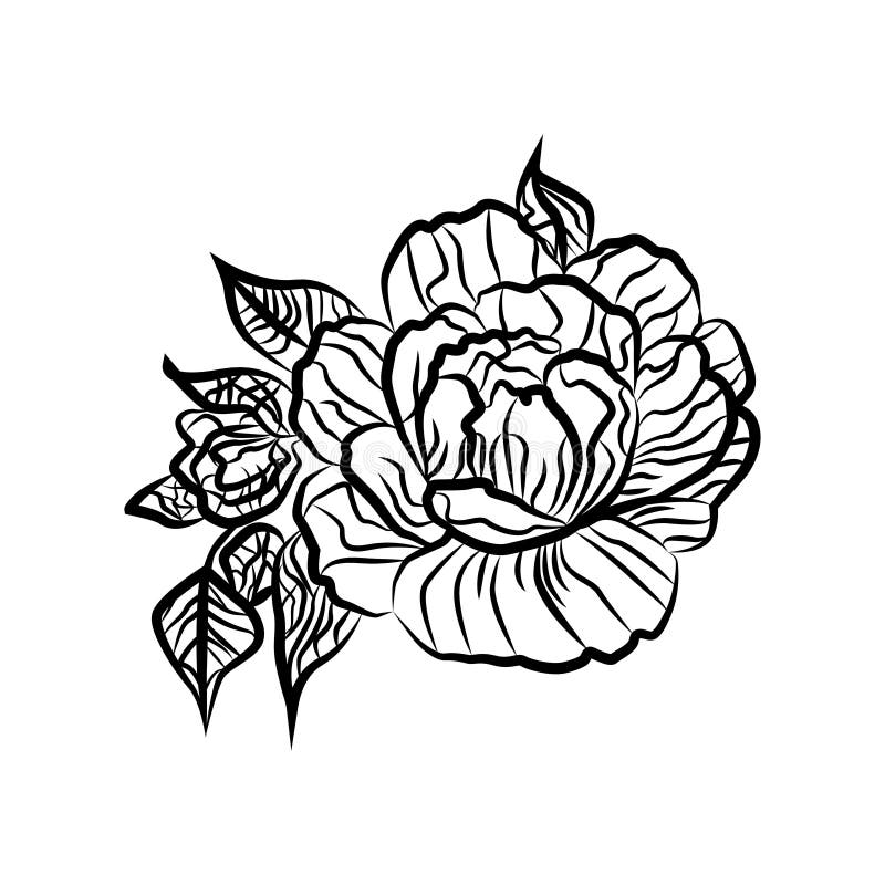 Dessin Noir Et Blanc Dun Tatouage De Rose Silhouette De