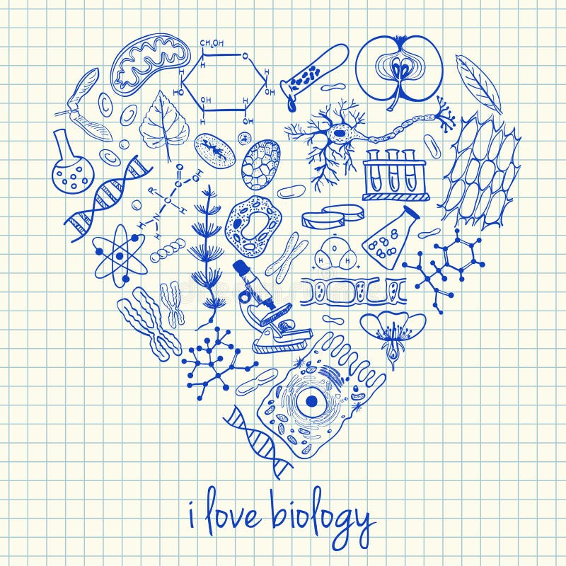 Dessins de biologie dans la forme de coeur