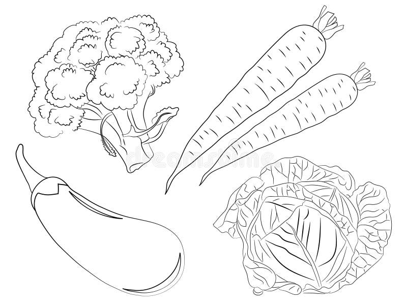 Dessins Vegetaux Image Stock Illustration Du Broccoli 77287577