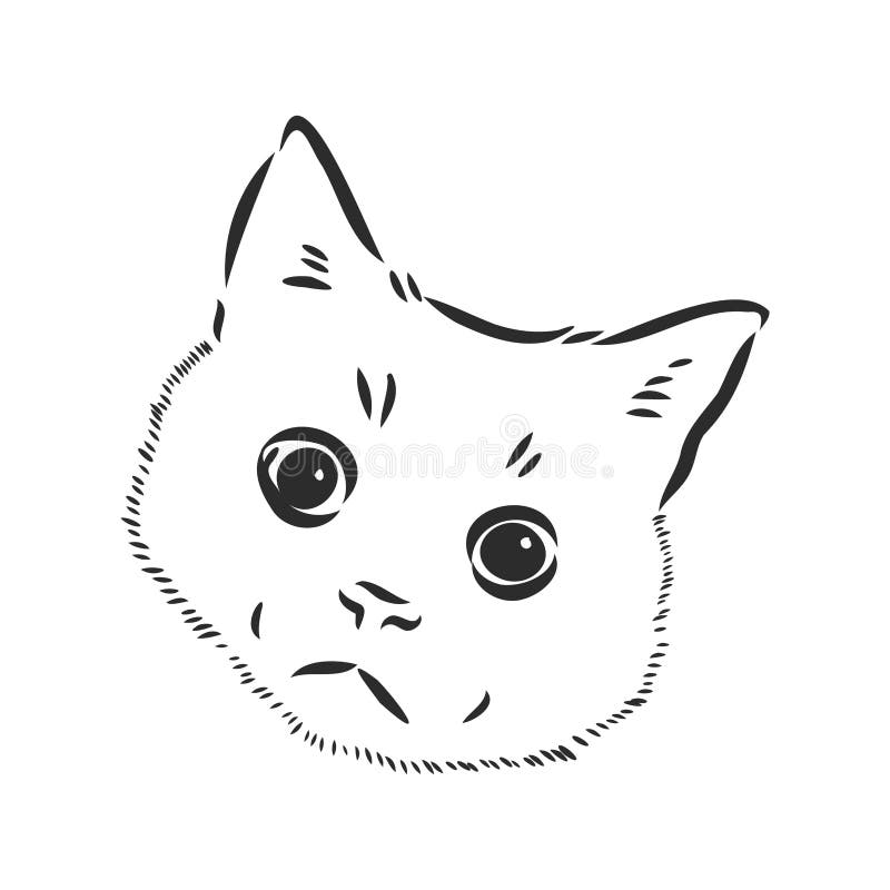 Dessins Vectoriels Croquis Tete De Chat Main Sont Dessines A L Encre A La Main Objets Sans Arriere Plan Logo Tatouage Illustration De Vecteur Illustration Du Pets Isolement Dessins Vectoriels Croquis Tete De Chat Main Sont Dessines A L Encre A La Main Objets Sans Arriere Plan Logo Tatouage Illustration De Vecteur Illustration Du Pets Isolement