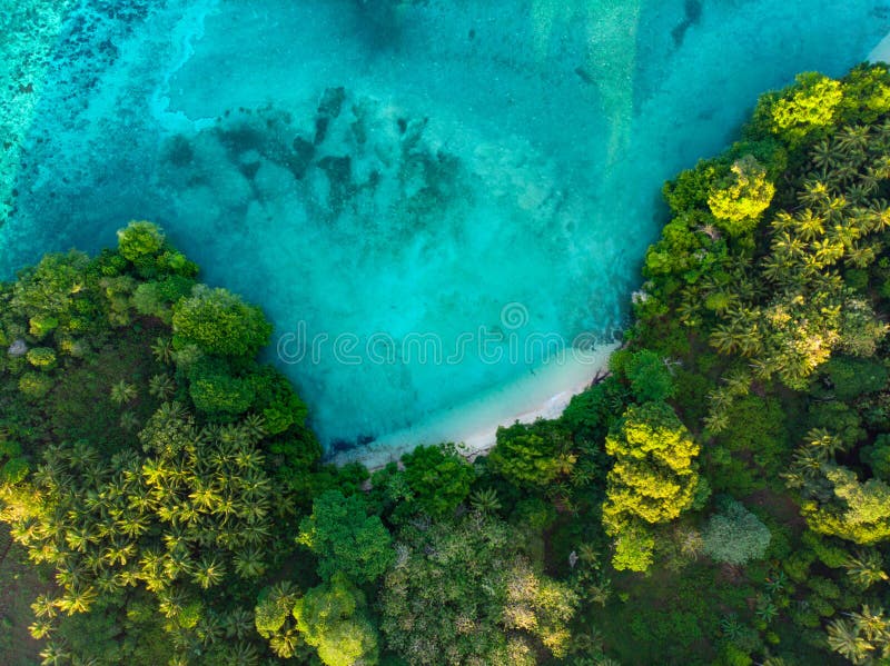 Dessus aérien en bas de lagune bleue de paradis de vue de forêt tropicale immaculée tropicale de plage chez Banda Island, Pulau A