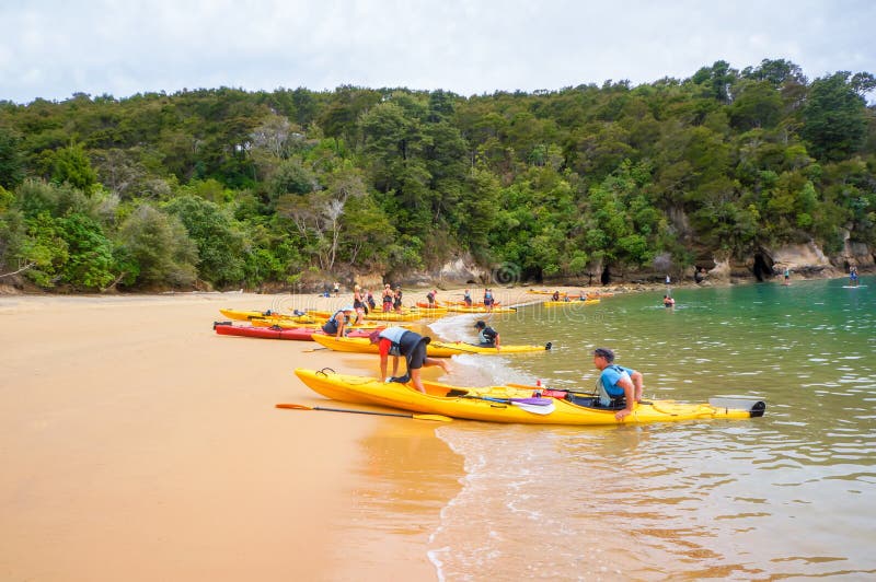 Destino kayaking popular en Abel Tasman National Park foto de archivo Destino kayaking popular en Abel Tasman National Park foto de archivo