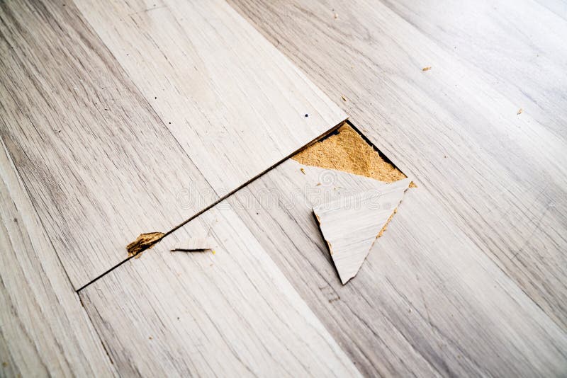 202 Laminate Flooring Damage Stock Photos Free & RoyaltyFree Stock