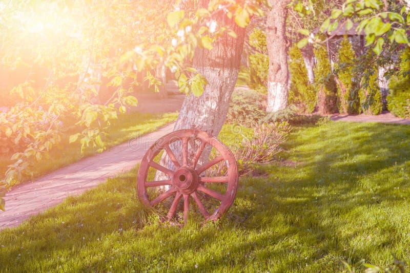 Det dekorativa gamla spårvagnhjulet står nära trädet i trädgården som garnering tonat arkivfoto Det dekorativa gamla spårvagnhjulet står nära trädet i trädgården som garnering tonat arkivfoto