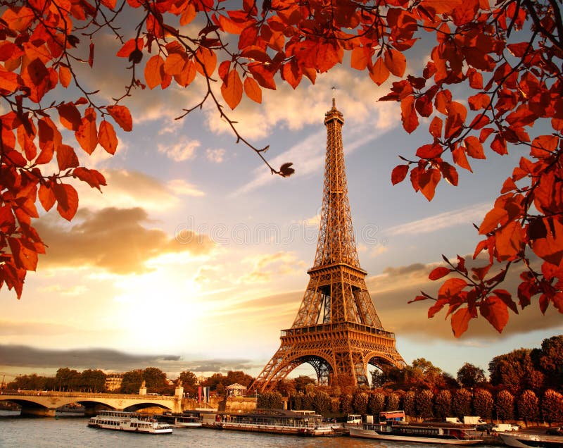 Det Eiffel tornet med höst låter vara i Paris, Frankrike royaltyfri fotografi