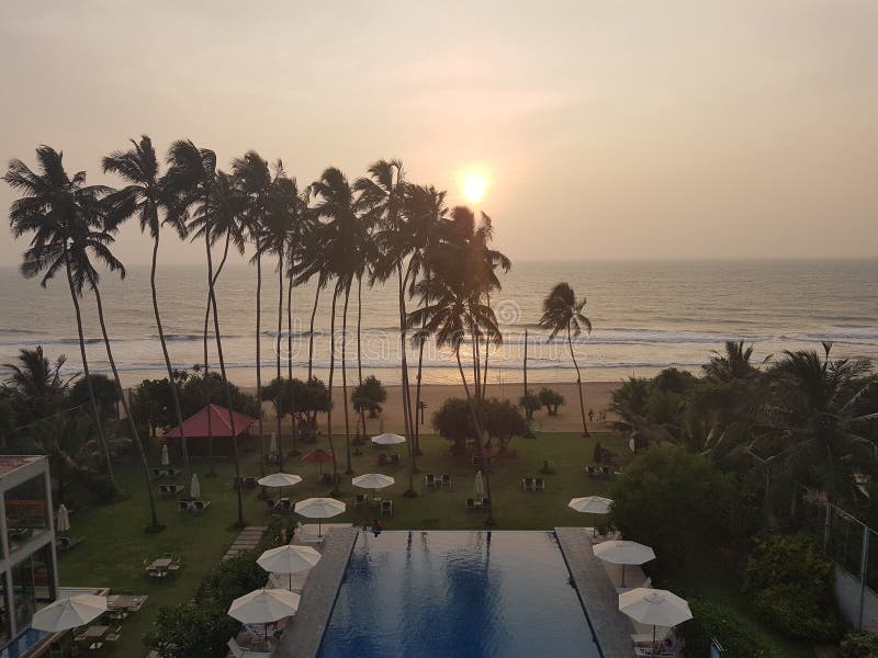 Det exotiska hotellet med simbassängen och gömma i handflatan på stranden av havet, Sri Lanka, strand arkivfoto Det exotiska hotellet med simbassängen och gömma i handflatan på stranden av havet, Sri Lanka, strand arkivfoto
