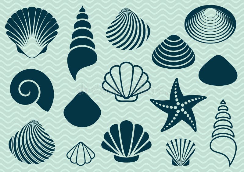 det fästande ihop isolerade banahavet shells white stock illustrationer det fästande ihop isolerade banahavet shells white stock illustrationer