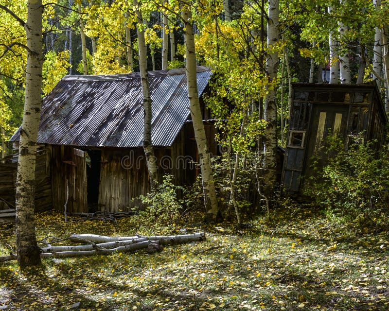 Det gömda historiska övergav hemmet med ut inhyser från vilda västern i nedgång fotografering för bildbyråer