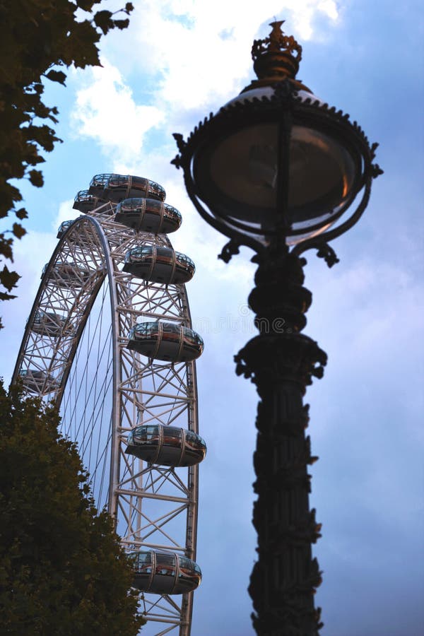 Det London ögat bak träd arkivfoton Det London ögat bak träd arkivfoton