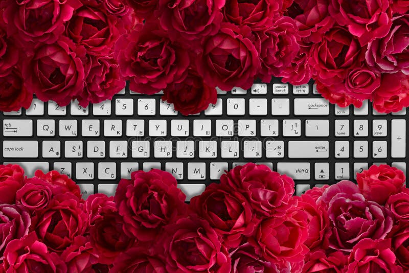 Det moderna svart- och krombärbar datortangentbordet med busken av den röda rosen blommar arkivbilder Det moderna svart- och krombärbar datortangentbordet med busken av den röda rosen blommar arkivbilder