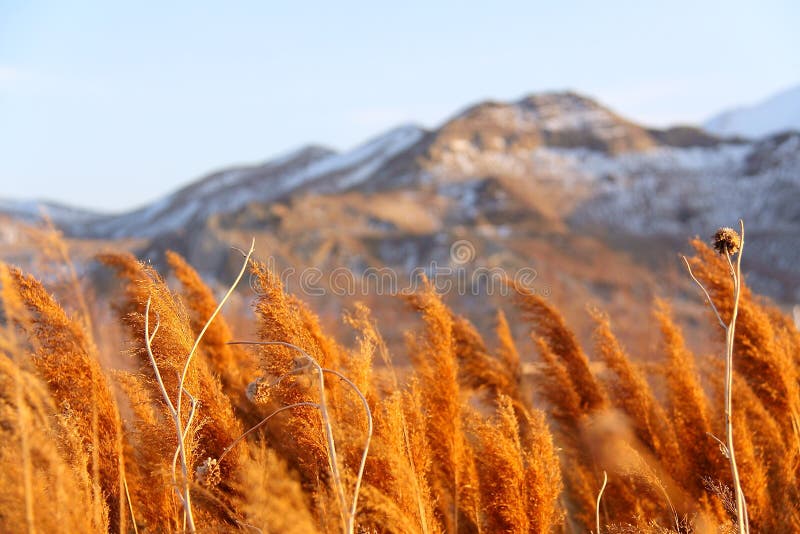 The Natural of Salt Lake City, Utah. The Natural of Salt Lake City, Utah