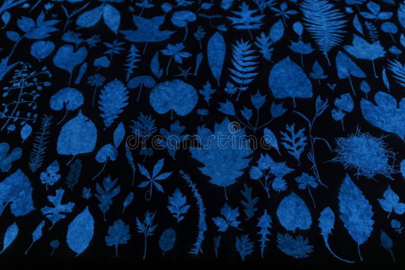 Det nära övre skottet av sidor formar Noctilucent papper av den Digital naturen fotografering för bildbyråer Det nära övre skottet av sidor formar Noctilucent papper av den Digital naturen fotografering för bildbyråer