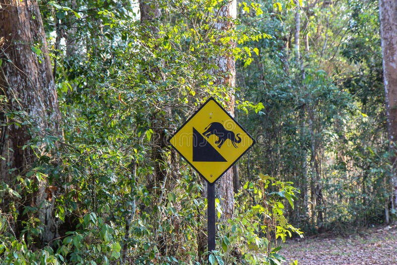 Det sluttande drevtecknet, tecknet för sluttande sluttande varningstecken i skog, rolig trafik undertecknar i löst, elefantsymbol