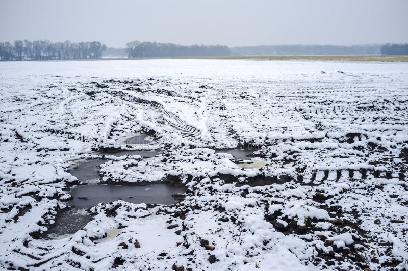 Det stora plogade fältet är täckte med ny snö, en skog kan ses på horisonten, på en vinterdag lantlig liggande arkivfoton Det stora plogade fältet är täckte med ny snö, en skog kan ses på horisonten, på en vinterdag lantlig liggande arkivfoton