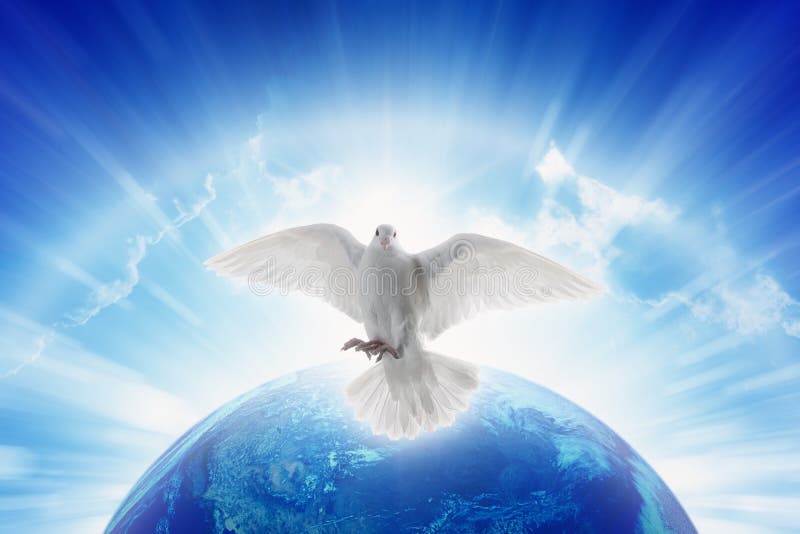 White dove symbol of love and peace flies above planet Earth. Elements of this image furnished by NASA. White dove symbol of love and peace flies above planet Earth. Elements of this image furnished by NASA