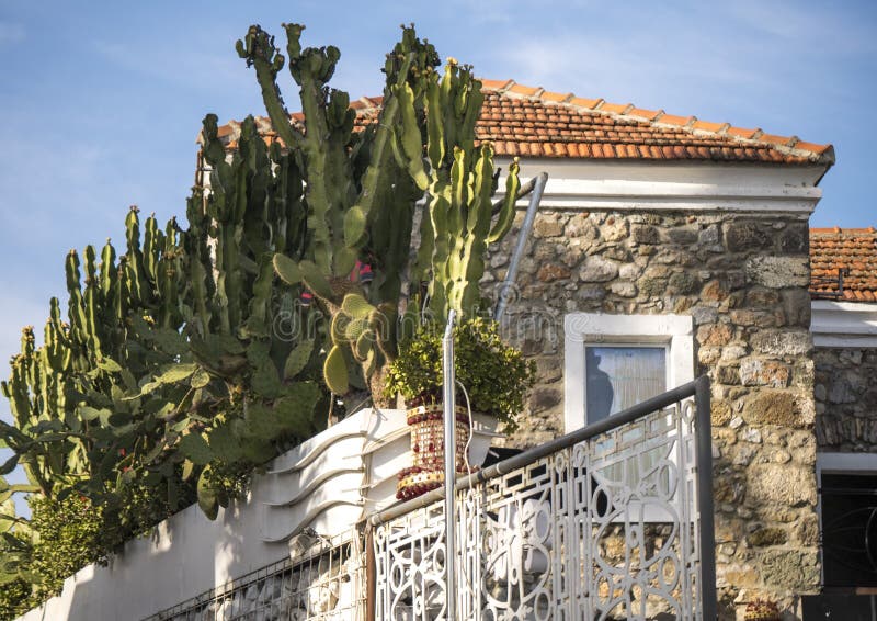 Detail of an antique typical old building of Bodrum. Detail of an antique typical old building of Bodrum.