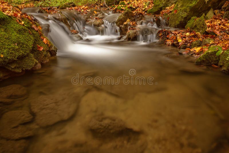 Detail of autumn brook with rocks and leaves