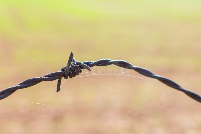Detail of a Barbed Wire Knot with Bokeh Background Stock Photo Image