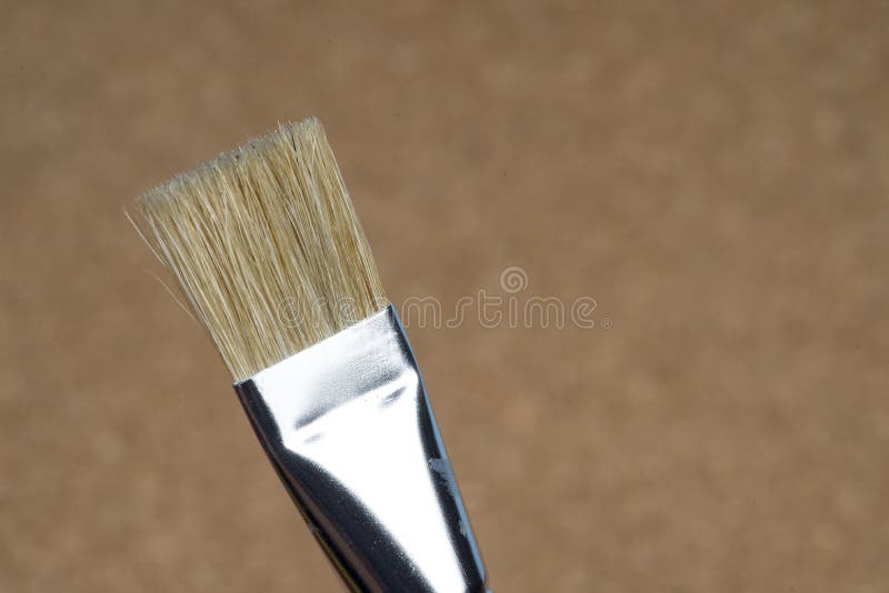 Detail of Brush Bristles on Cork Background. Stock Image Image of