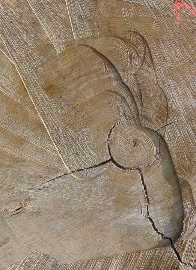 Detail Cut Log Tree Spray Mark Stock Photos Free & RoyaltyFree Stock