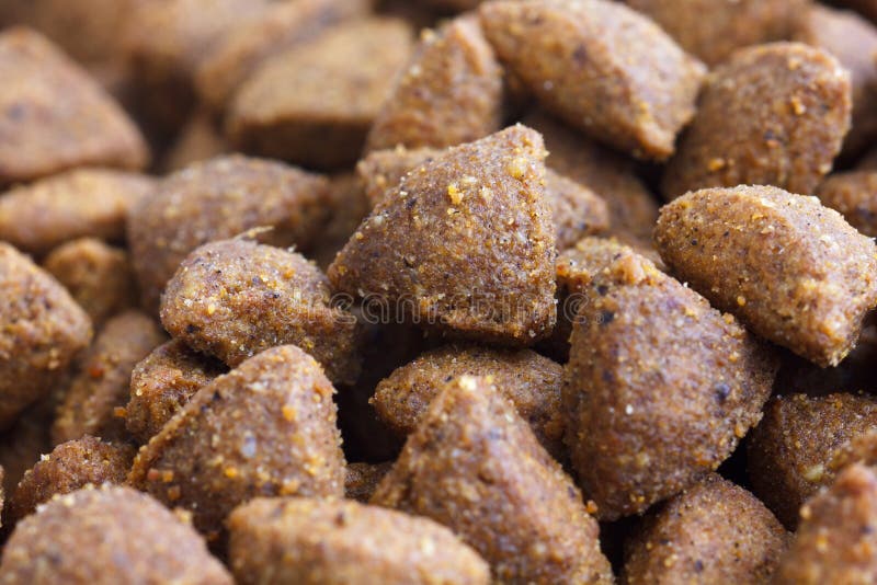 Detail of Dry Brown Pet Food. Stock Photo Image of nutrition, brown 52667802