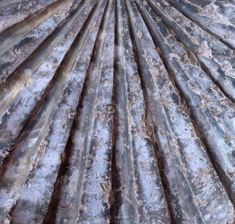 Engraved on the stone the lines of a shell royalty free stock photography