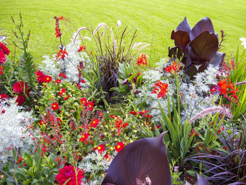 Detail of flower garden with many different plants royalty free stock photography