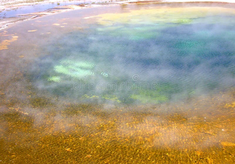Detail of geyser : Yellowstone