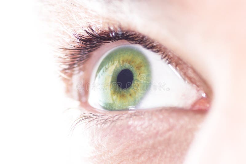 Wide open green eye stock photo. Image of color, iris - 100840312