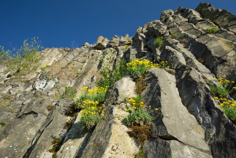 Detail šesťuholníkových tvarov čadičovej skaly Steblova skala na Cerovej vrchovine
