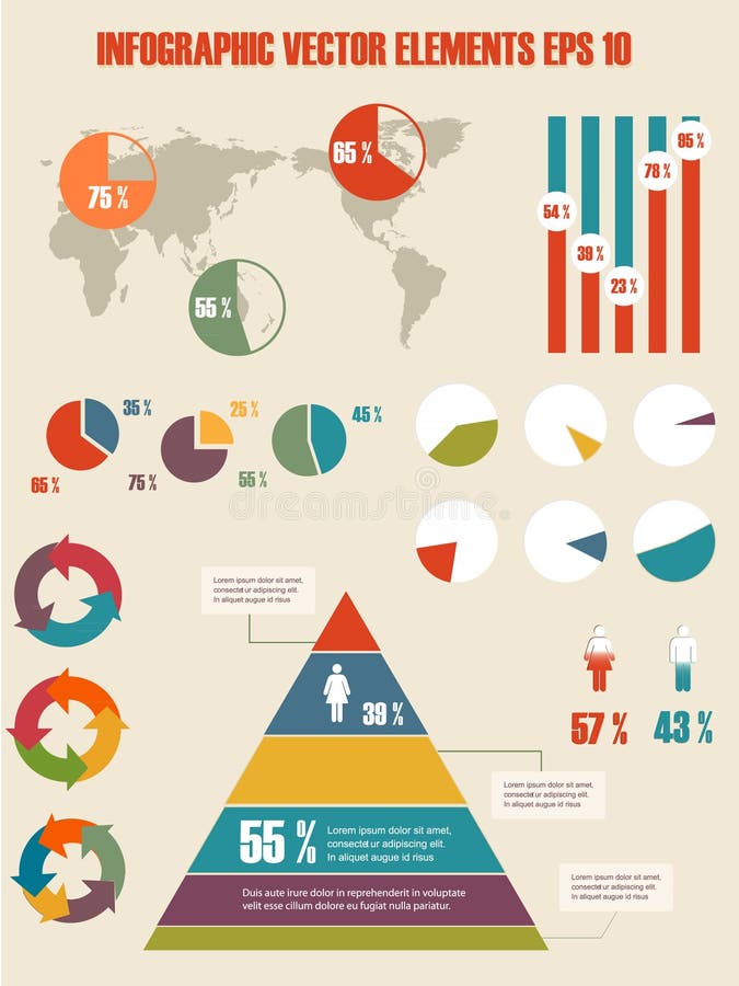 Detail infographic illustration. vector illustration