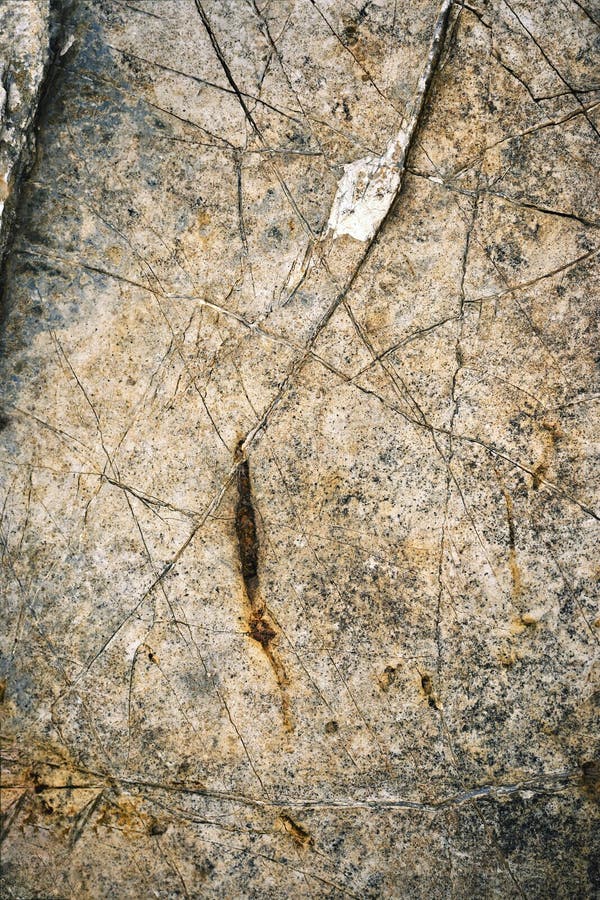 Detail of a Limestone Erosion Stock Photo Image of detail, outdoor