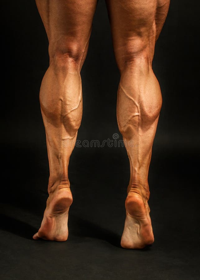Muscular Male Torso Stock Photo - Image: 6989990