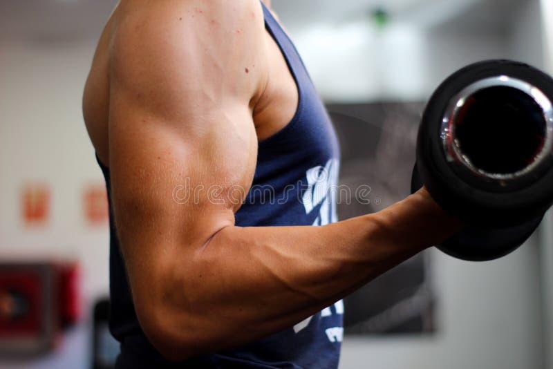 Detail of a Man`s Arm Performing Biceps Exercise in the Gym Stock Photo