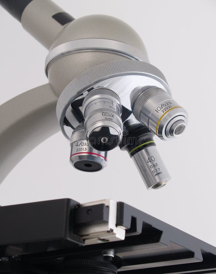 Detail of optical microscope