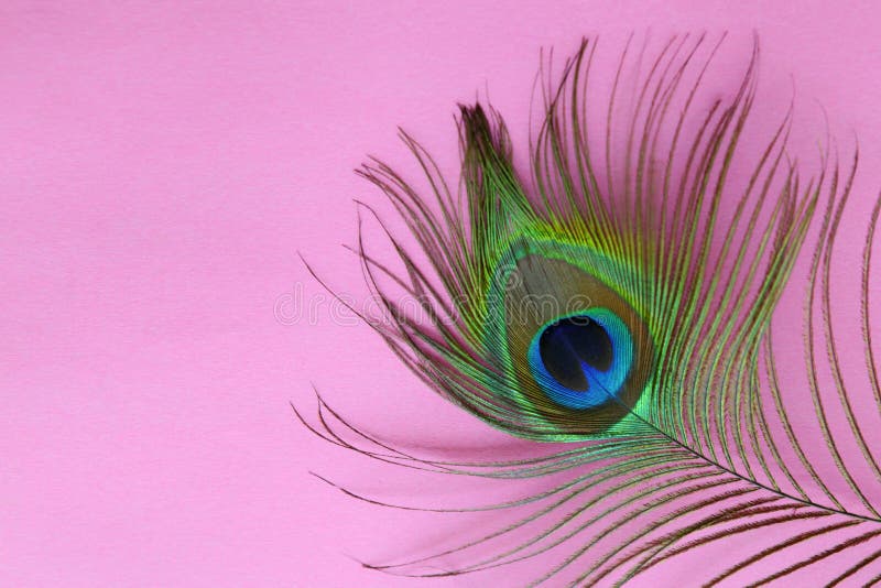 Detail of Peacock Feather Eye on a Pink Background. Luxury Abstract Texture  for Peafowl Wallpaper, Pink Blue-green Color Stock Image - Image of  pattern, natural: 170752987
