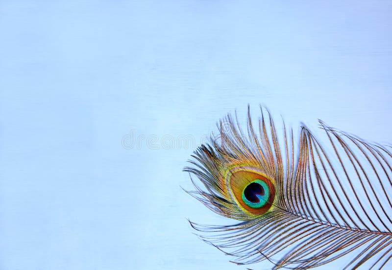 Detail of Peacock Feather Eye on Turquoise Background. Luxury Abstract  Texture for Peafowl Wallpaper, Blue-green Color Stock Photo - Image of  detail, indian: 170137060