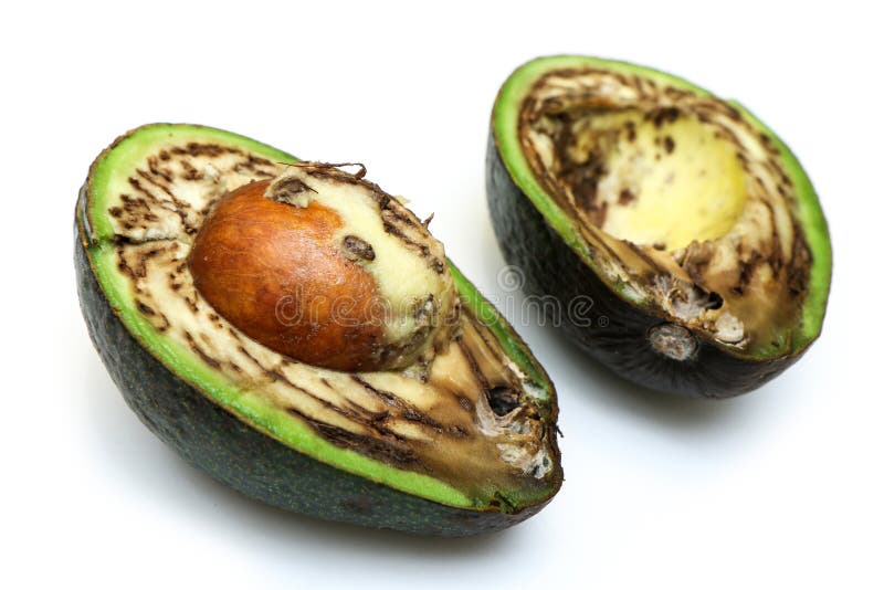 30+ Rotten Avocado Stock Videos and Royalty-Free Footage - iStock