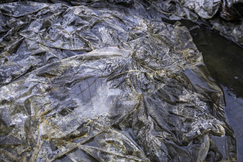 Wet plastic in the trash stock photo. Image of recycling 268493884