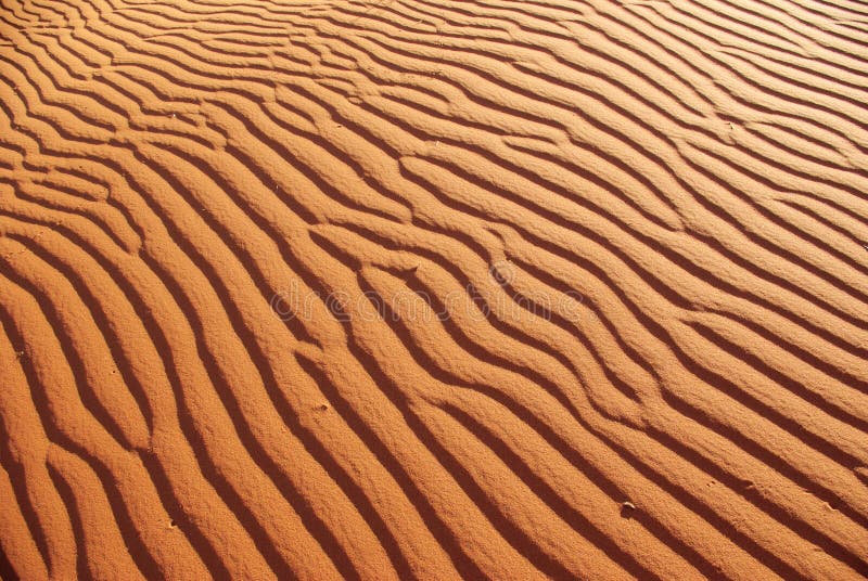 Detail of sand dune