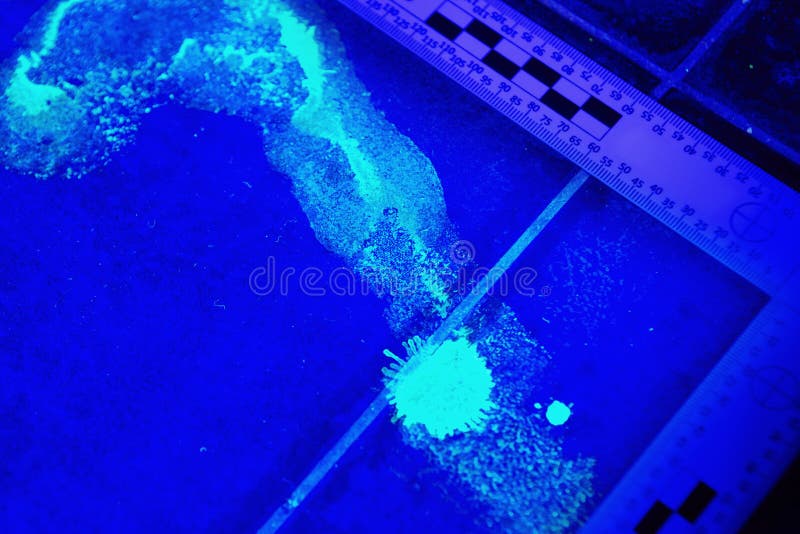 Detail of Trace Visible Under UV Light Stock Photo Image of crime