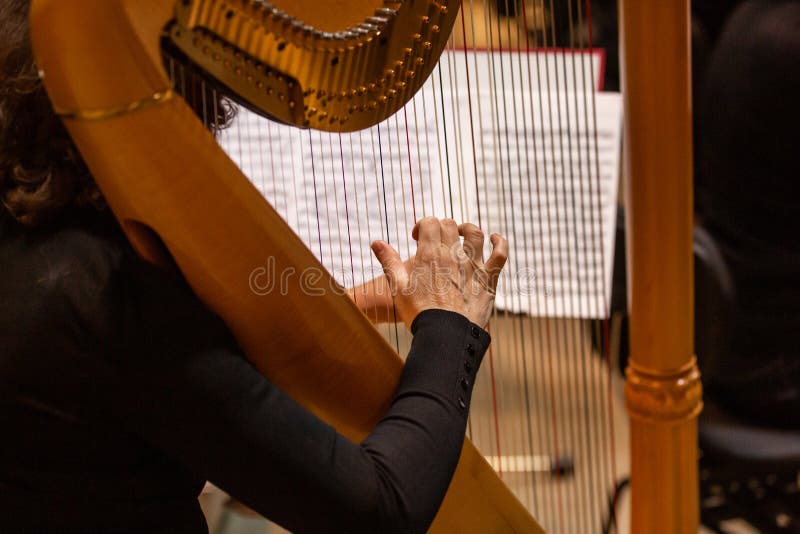 Detail of orchestra, philharmoic player playing on harp during huge philharmonic concert, art concept. Detail of orchestra, philharmoic player playing on harp during huge philharmonic concert, art concept