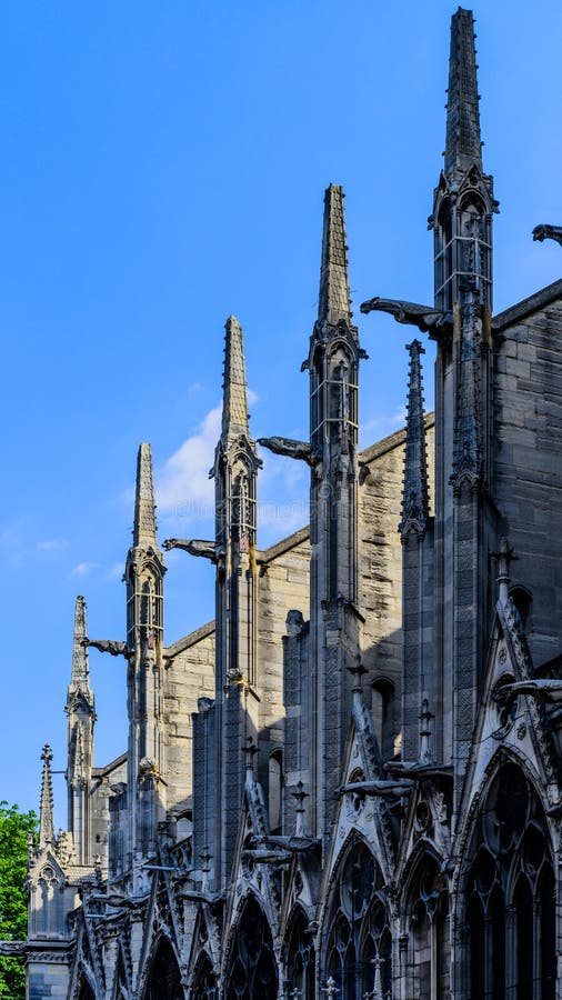 Vedere detaliată notre dame de paris stock photos