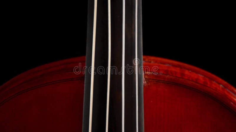 Detail of violin or viola music instrument turning at black background