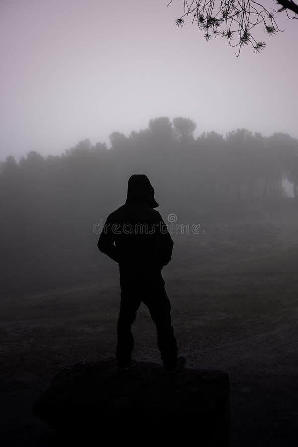 Man in forest with fog royalty free stock images